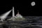 <b>Lighthouse</b><br>Objects drawn in ink and scanned, then imported into Cinema 4D for layering and lighting.