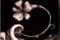 <b>Flower</b><br>Created using ballpoint pen and Sharpie, touched up using Adobe Photoshop.